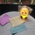 cute panda gift light